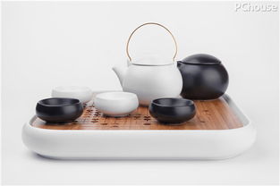 程雄 實(shí)用是賦予東方美學(xué)生命力的關(guān)鍵，以家用電器為例